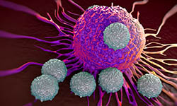 T cells attack cancer cell